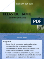 Materi Kelas Ibu Hamil