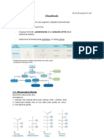 Gluzidoak Eta Lipidoak - Documentos de Google