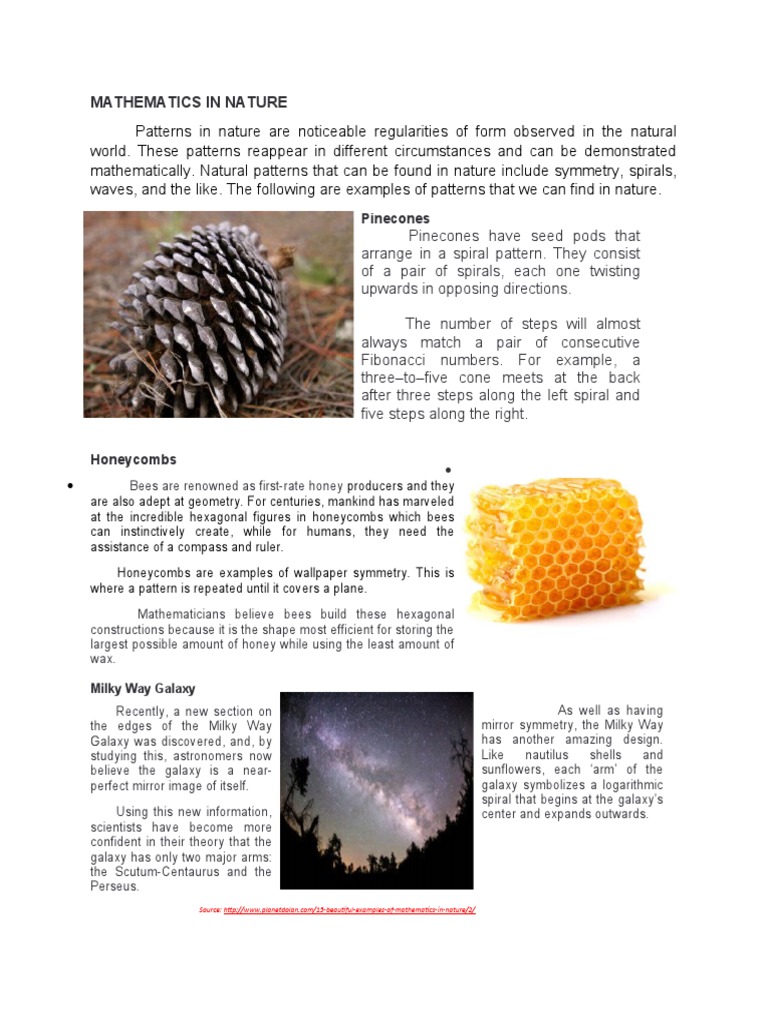 Patterns of Mathematics in Nature | PDF | Pattern | Mean