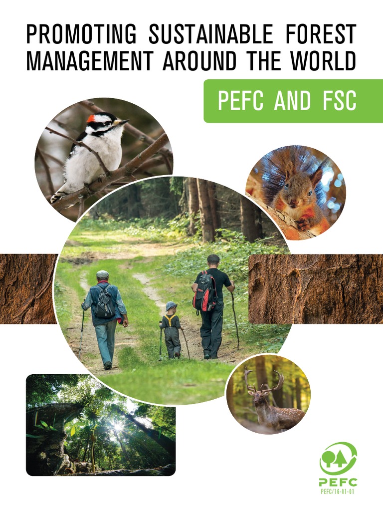 PEFC Promoting Sustainable Forest Management - PEFC & FSC | PDF ...