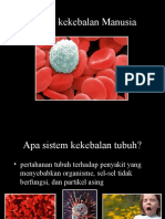 The Human Immune System - En.id