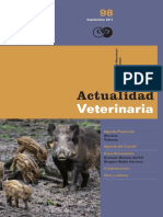 Revista Actualidad Veterinaria N 98