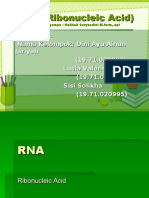 RNA PowerPoint