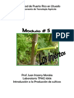 modulo-5-injertos