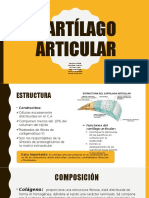 Cartílago Articular