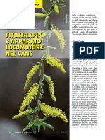 Fitoterapia Veterinaria Giu14 PDF