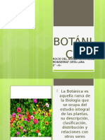 Presentacion Sobre Botanica