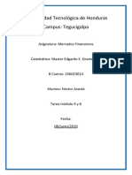 Tarea Modulo 4 y 6 Mercados Financieros