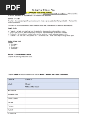 module_four_wellness_plan