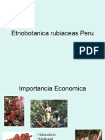 Etnobotanica Rubias Peru