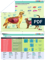 AF_4234K_AGE19_Guia_Antibiotic-2.pdf