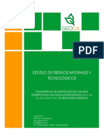 Estudio de Riesgos - Benavente PDF