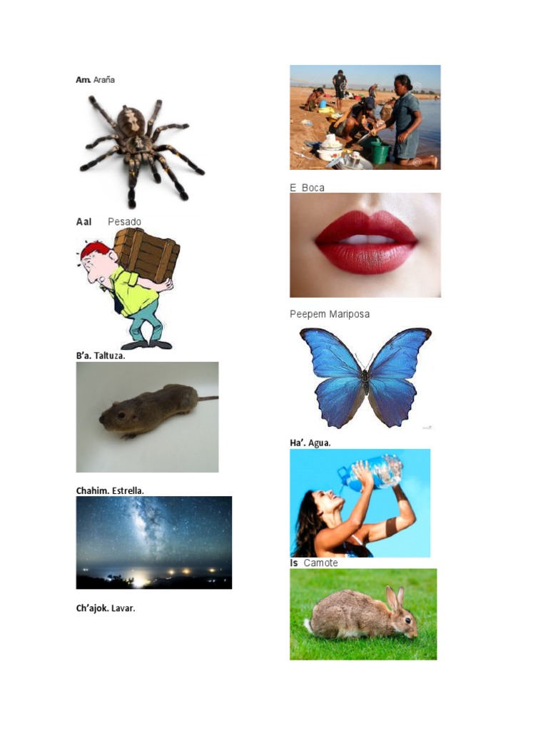 Abecedario Q'eqchi' PDF