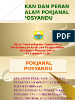 Paparan DP3AP2 - Rakor Pokjanal Posyandu 2020