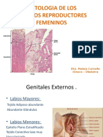 HISTOLOGIA DE LOS ORGANOS REPRODUCTORES FEMENINOS.pptx