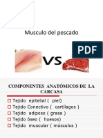 Sexta Clase PDF