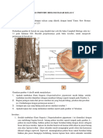 Tugas Biologi PDF