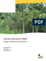 Aleurites Moluccana Ekologi PDF