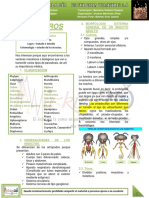 DIPTEROS Parasitologia