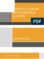 How Cells Grow in Continuous Culture