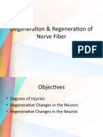 Degeneration & Regeneration of Nerve Fibre