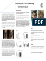 Study of Visual Inderterminacy Poster