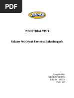 project report on footwear company pdf