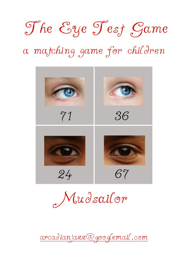 The Eye Test Game matching game for children Leisure