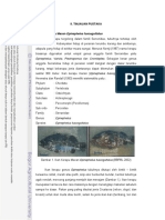 ii-tinjauan-pustaka.pdf