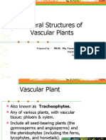 Lesson 2 Plant Body