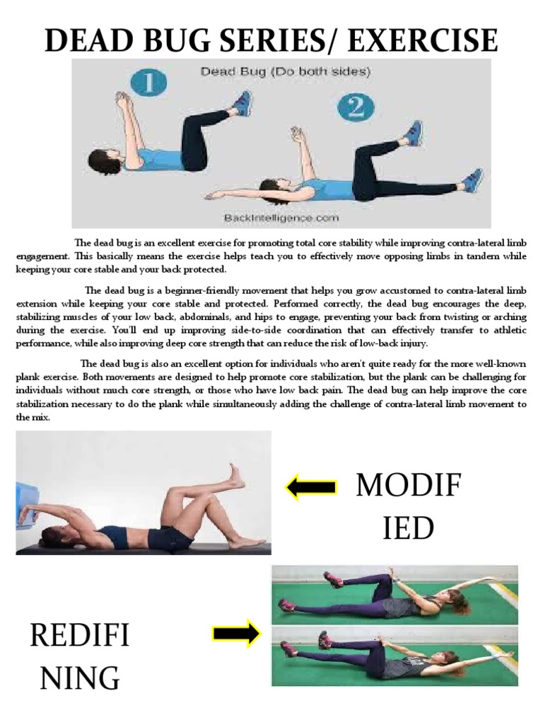 Beginner's Guide to Dead Bug Exercise | PDF | Wellness | Science ...