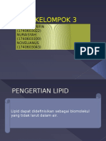 KELOMPOK 3 Lipid
