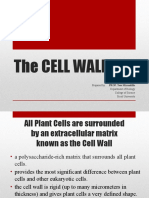 Lesson 4 Cell Wall