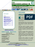 Revista0012017 PDF