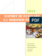 262057489 Raport Evaluare Boromir SA Buzau PDF