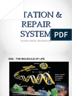 Dna Mutation and Repair System