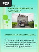 T17. Hacia Un Desarrollo Sostenible