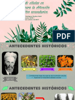 Cultivo de Celulas en Suspension PDF