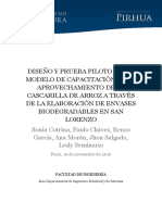 CASCARILLA DE ARROZ APROVECHAMIENTOS.pdf