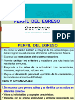 2-Perfiles Del Egreso