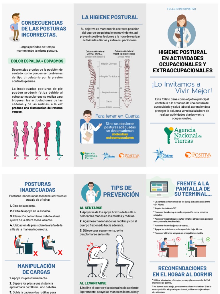 Higiene Postural en Actividades Diarias | PDF | Dolor lumbar | La ...