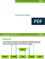 5 Reinos PDF