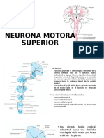 Exposicion Neurologia