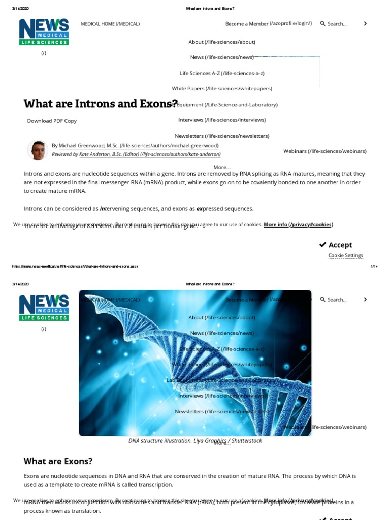 What Are Introns and Exons - PDF | PDF | Rna Splicing | Intron