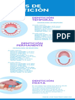 Tipos de Dentición