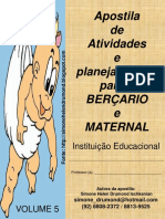 5 APOSTILA BERÇARIO E MATERNAL DE SIMONE HELEN DRUMOND.pdf