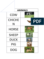 ANIMALS.docx