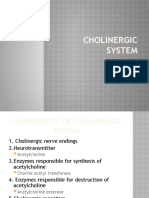 9.CHOLINERGIC SYSTEM AND CHOLINOMIMETIC DRUGS.pptx