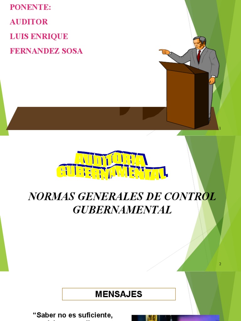 Normas de Control Gubernamental | PDF | Calidad (comercial) | Auditoría