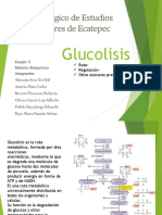 Regulación de La Glucolisis